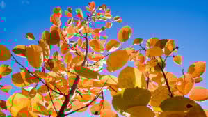 Trening i høstferien